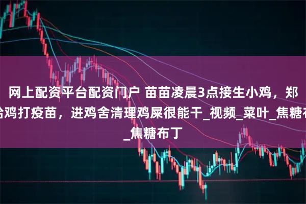 网上配资平台配资门户 苗苗凌晨3点接生小鸡，郑恺给鸡打疫苗，进鸡舍清理鸡屎很能干_视频_菜叶_焦糖布丁